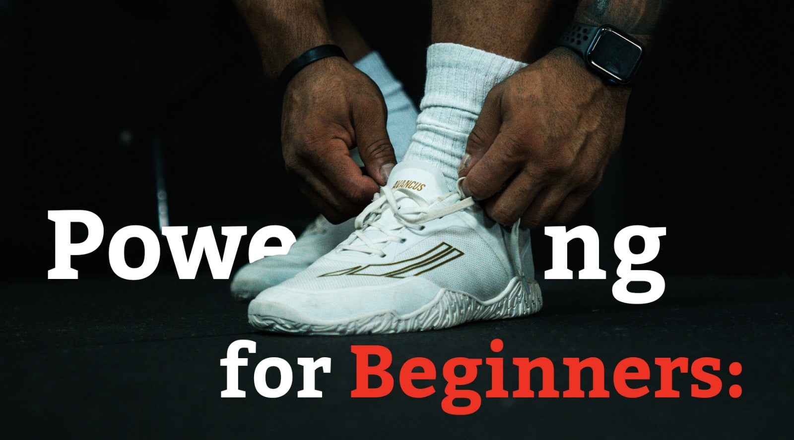 Beginner’s Guide to Powerlifting: Workouts, Training Plans, and Exercises to Build Strength